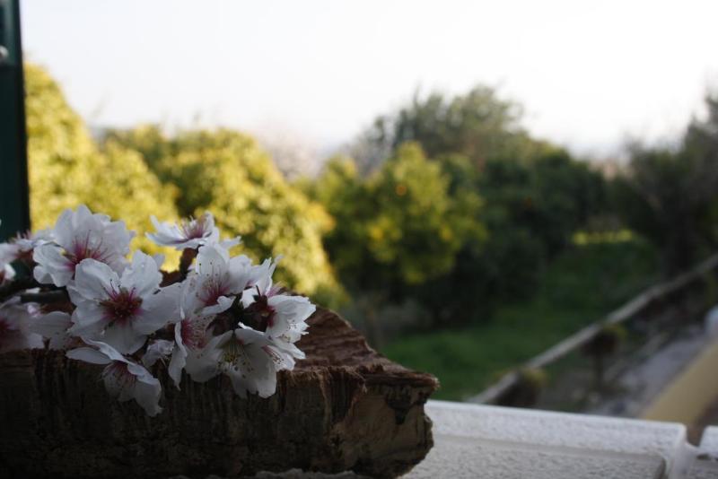 فندق Quinta Matias