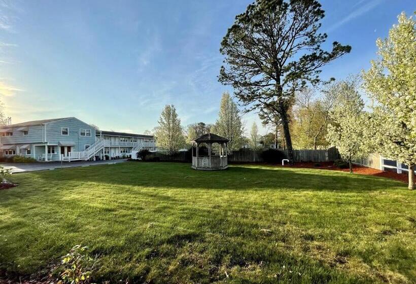 فندق The Escape Inn