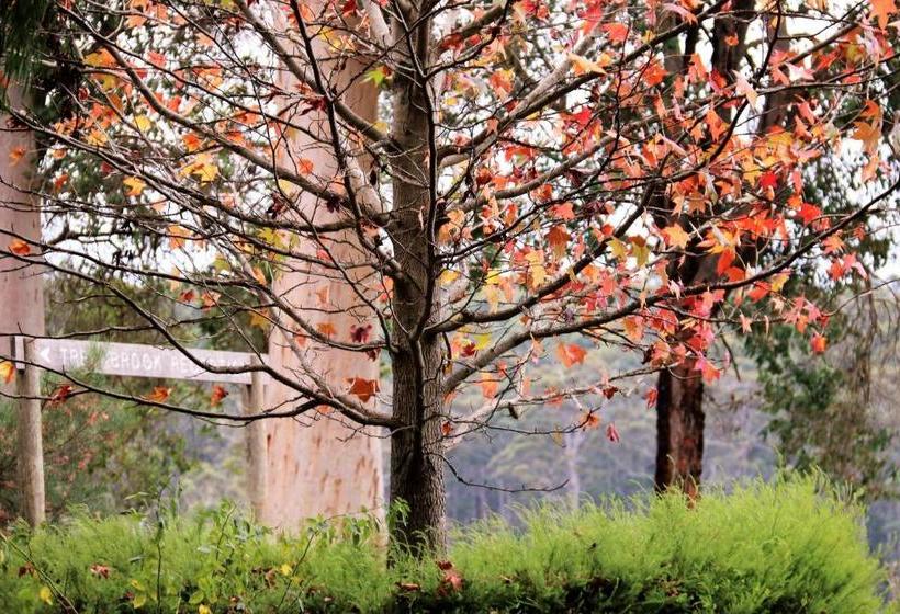 ホテル Treenbrook Cottages