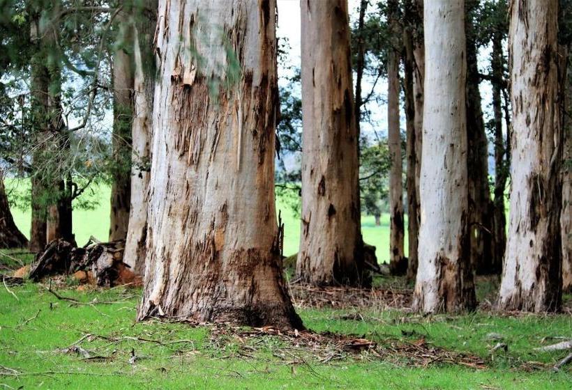 ホテル Treenbrook Cottages