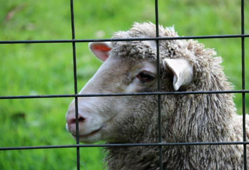 ホテル Treenbrook Cottages