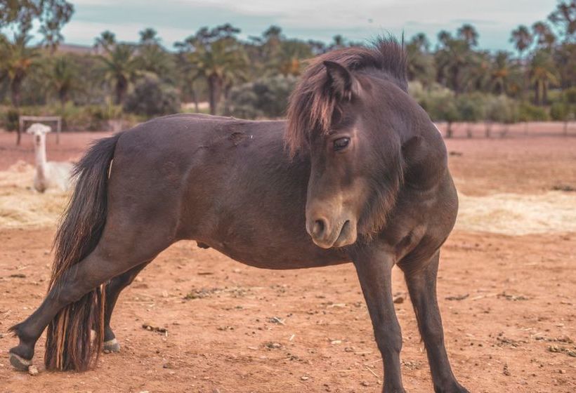 Seppelts View Cabins