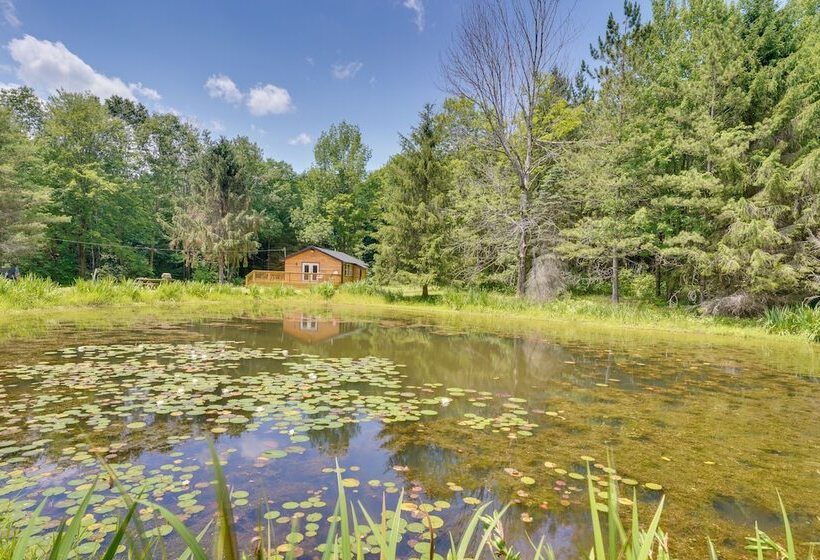 Cozy Ellicottville Cabin W/ Water Views Near Ski