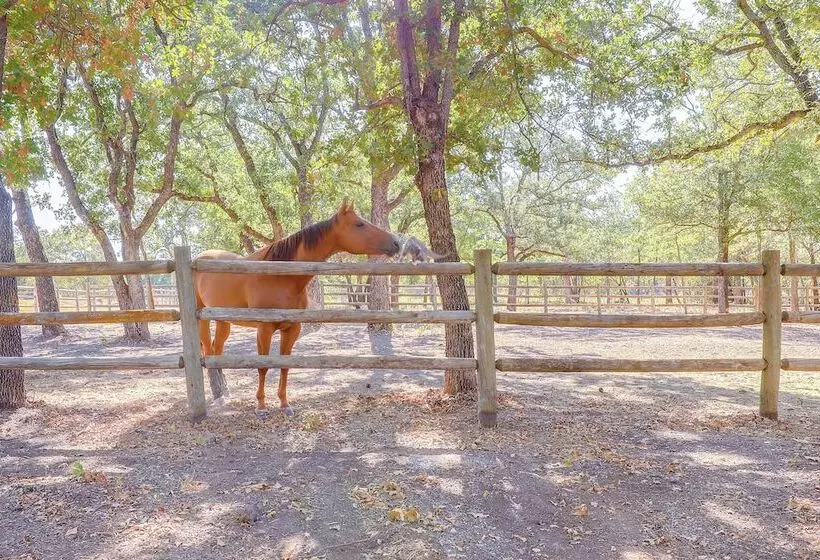 Horse Friendly Weatherford Oasis W/ Splash Pool