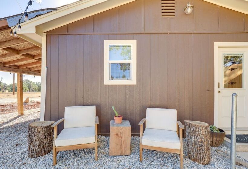 Horse Friendly Weatherford Oasis W/ Splash Pool