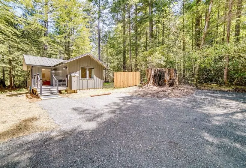 Peaceful Mendocino Cottage Surrounded By Redwoods