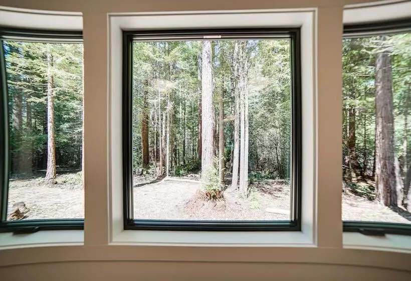 Peaceful Mendocino Cottage Surrounded By Redwoods
