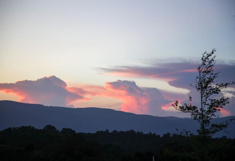 Quiet Charlottesville Hideaway In Baileys Retreat!