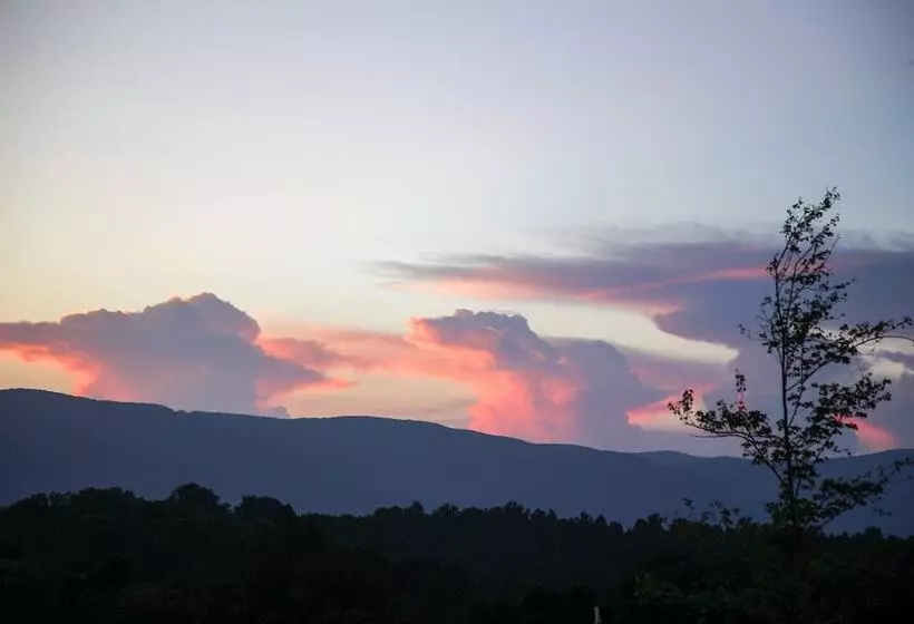 Quiet Charlottesville Hideaway In Baileys Retreat!