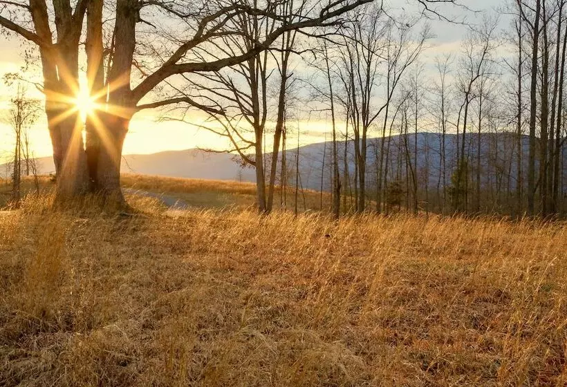 Quiet Charlottesville Hideaway In Baileys Retreat!