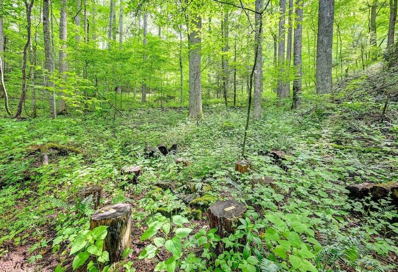 Topton Cabin W/ Hot Tub   6 Mi To Nantahala Lake!