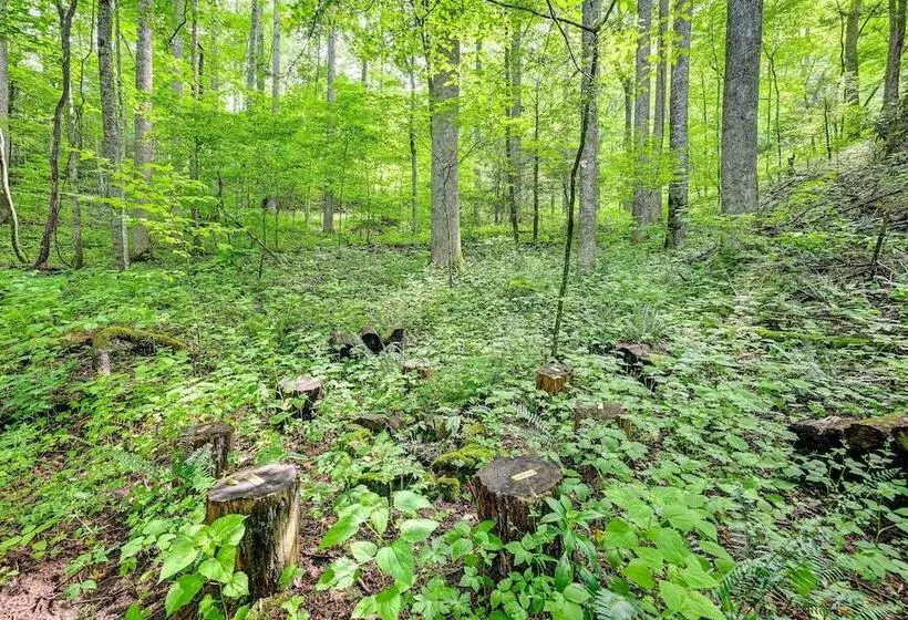 Topton Cabin W/ Hot Tub   6 Mi To Nantahala Lake!
