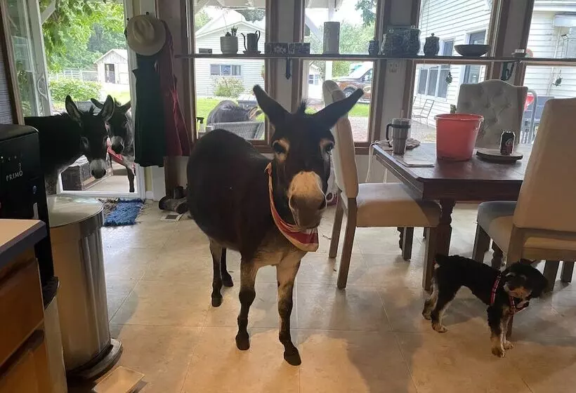 Majatalo 3547 Pleasant Run Rd