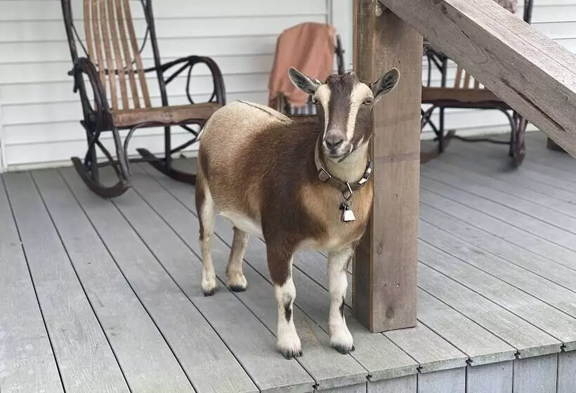 Majatalo 3547 Pleasant Run Rd