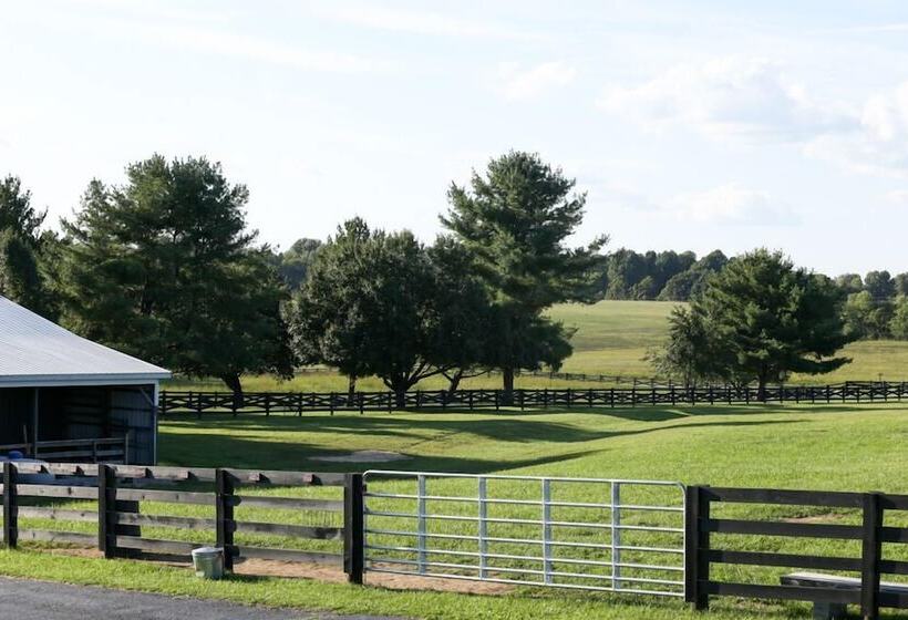 Panzió 3547 Pleasant Run Rd