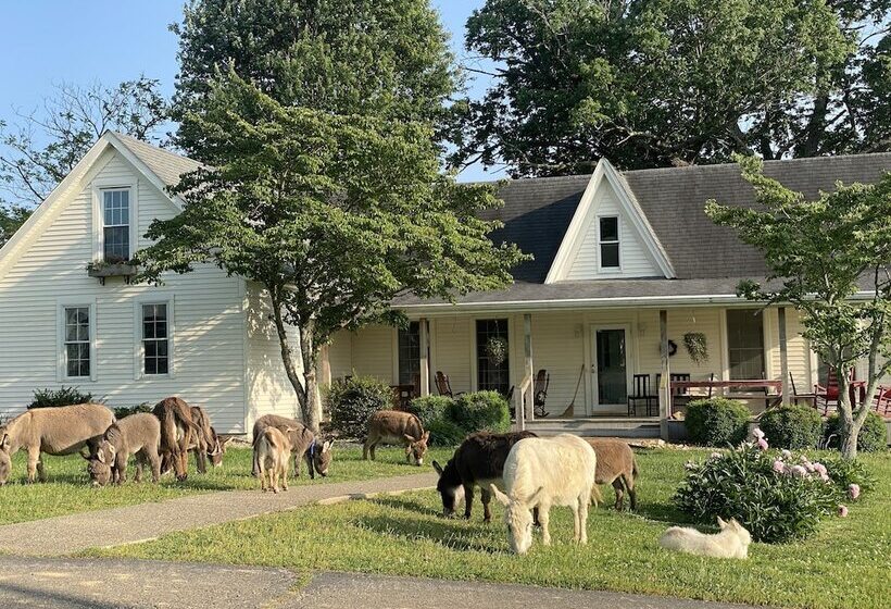 Panzió 3547 Pleasant Run Rd