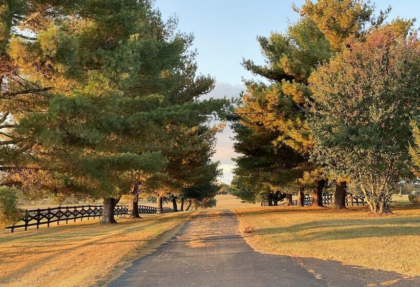 Panzió 3547 Pleasant Run Rd