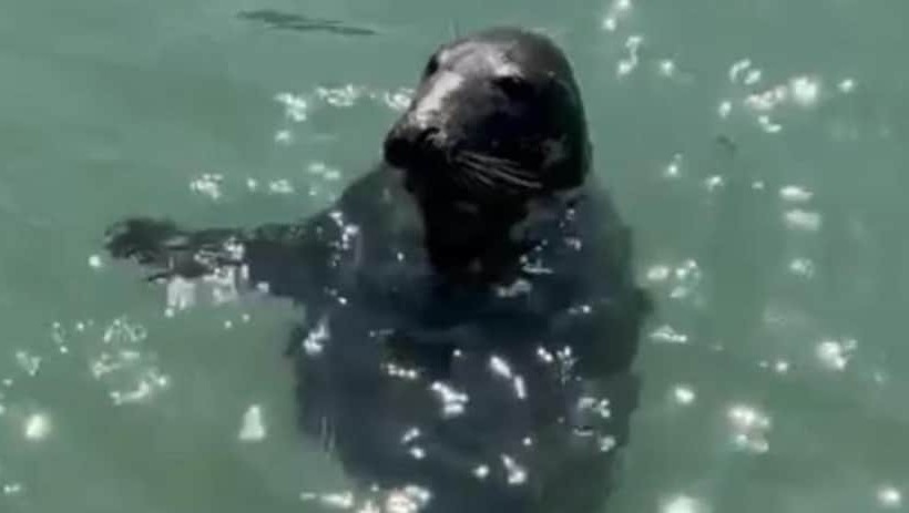 Residens Impeccable 3 Bed House In Newquay