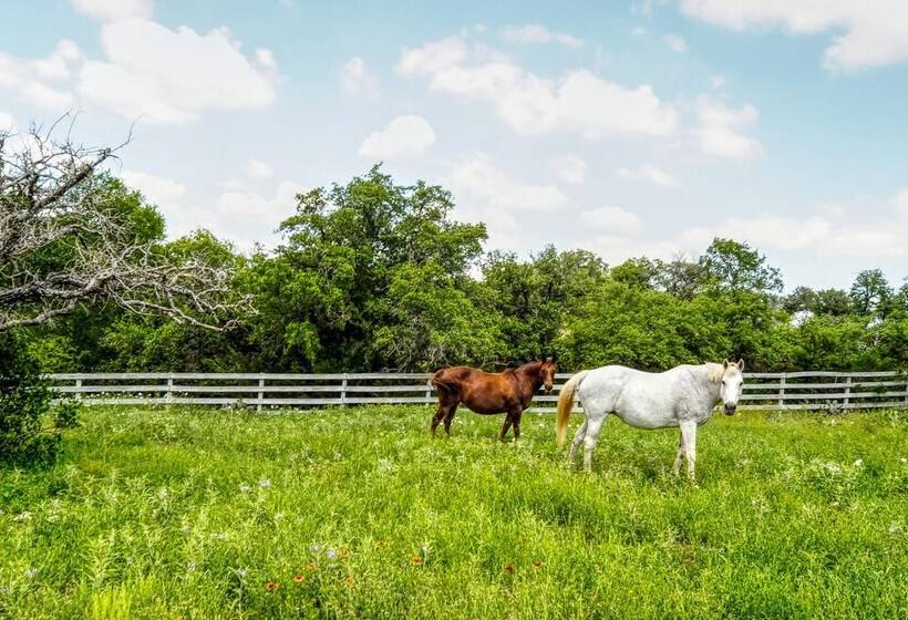 Spicewood Ranch Cabin W/ Deck, Barn Access!