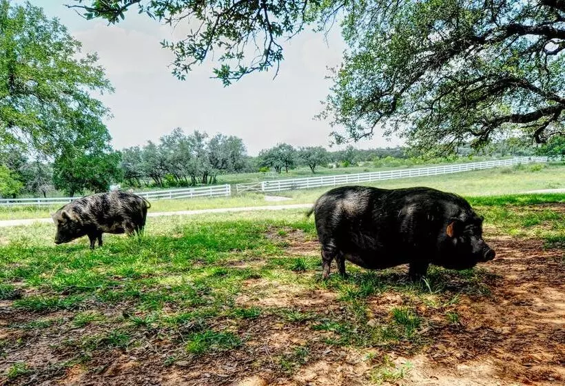 Spicewood Ranch Cabin W/ Deck, Barn Access!