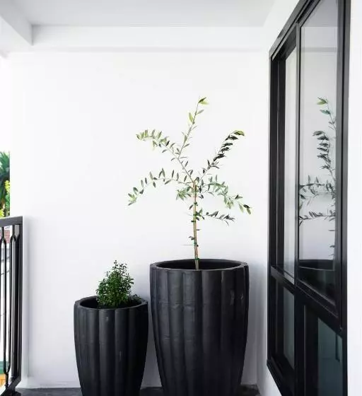 St Hugh Hotel Wagga Wagga