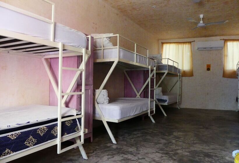 Hostel Valladolid 48