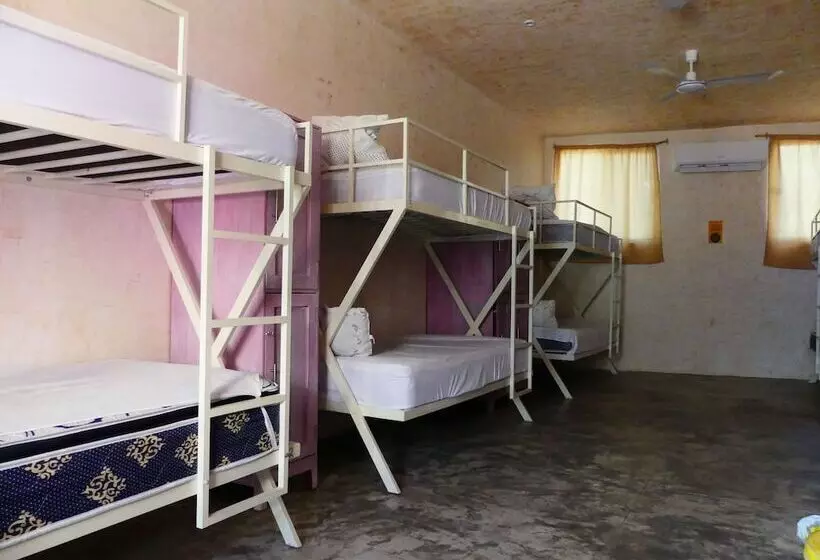 Hostel Valladolid 48