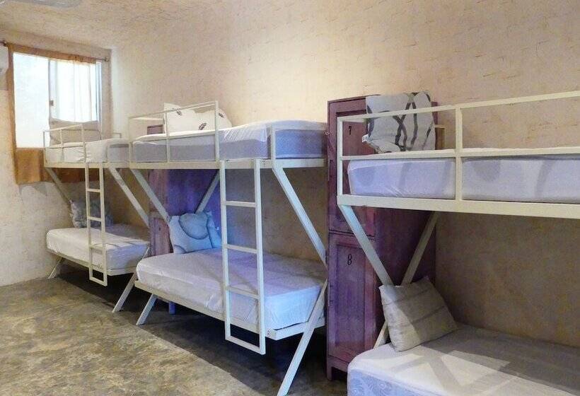 Hostel Valladolid 48