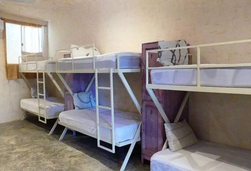 Hostel Valladolid 48