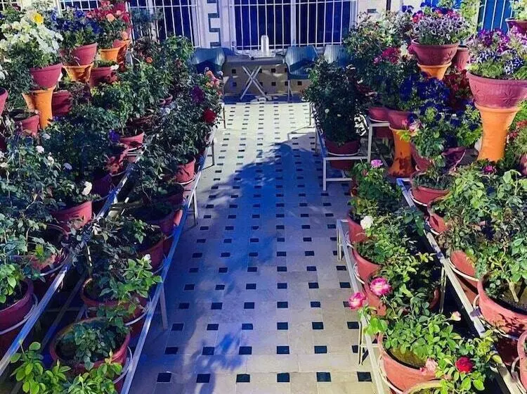 هتل Al Qasim