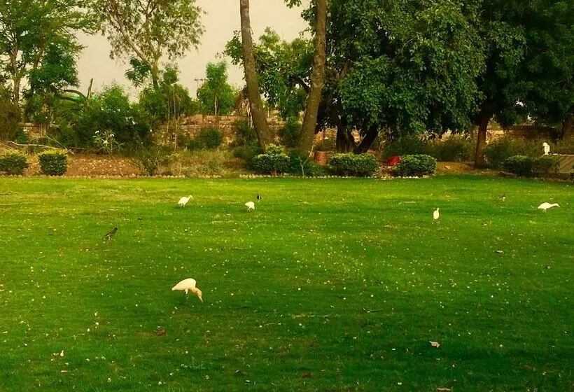 Hotelli Barabagh Deogarh   A Heritage Farm Stay