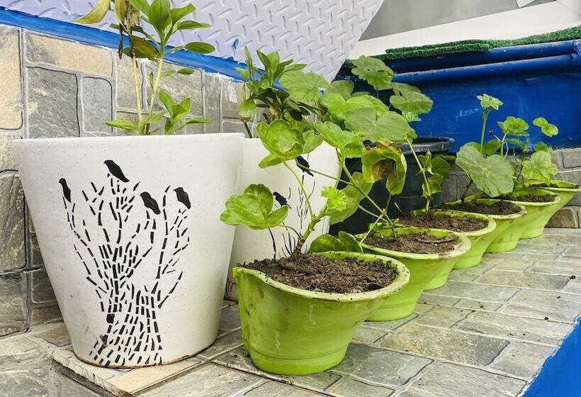 فندق Clarence Cottage