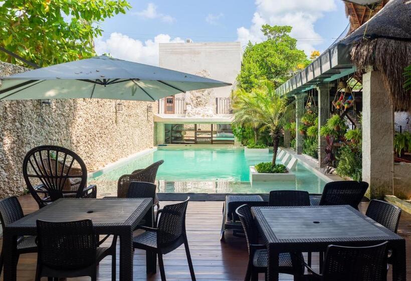 Szálloda Y Hostal Nojoch Che