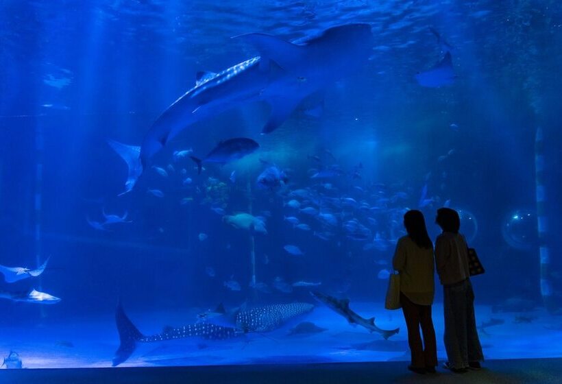 ריוקאן Shirasaginoyu Notokaisyu