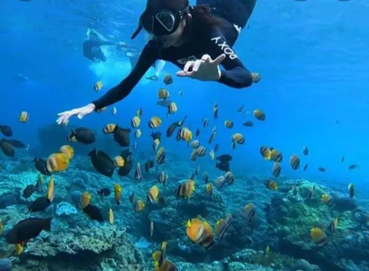 ユースホステル Kibu Kauh Sunrise Cottage