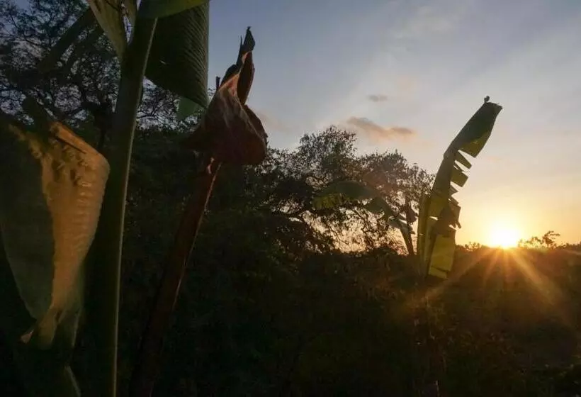 ユースホステル Kibu Kauh Sunrise Cottage