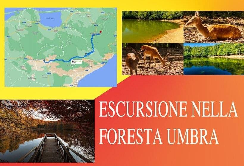 בית מלון כפרי House Gargano