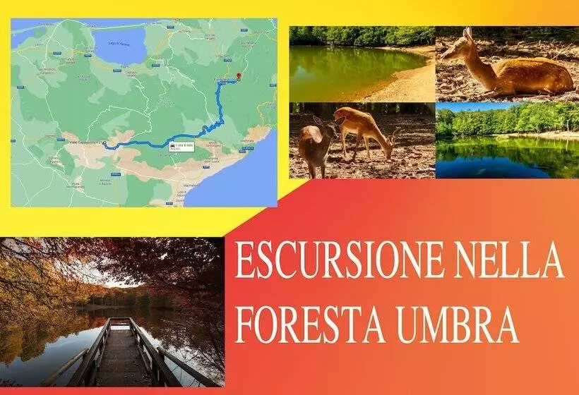 Hotelli House Gargano