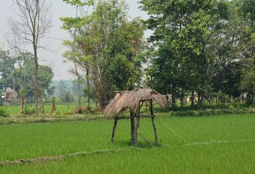 پانسیون Barauli Community Homestay