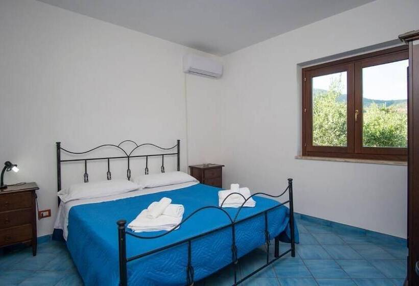 پانسیون Santa Clara   Cdv Management