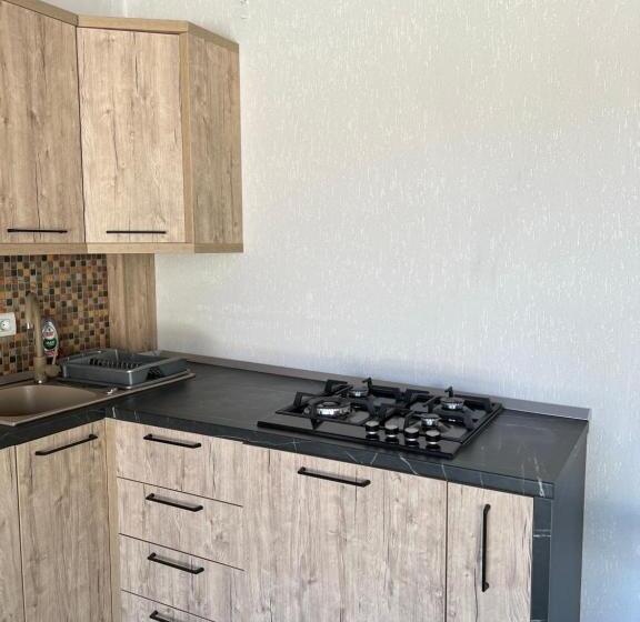 بنسيون Vila Maxim