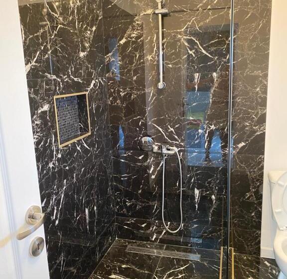 بنسيون Vila Maxim