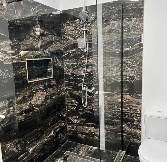 بنسيون Vila Maxim