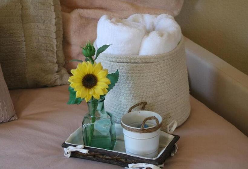 민박 Casa Shaddai~