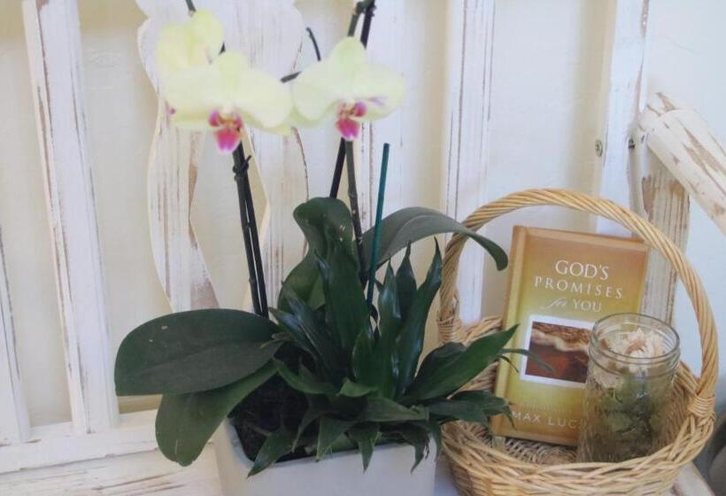 민박 Casa Shaddai~