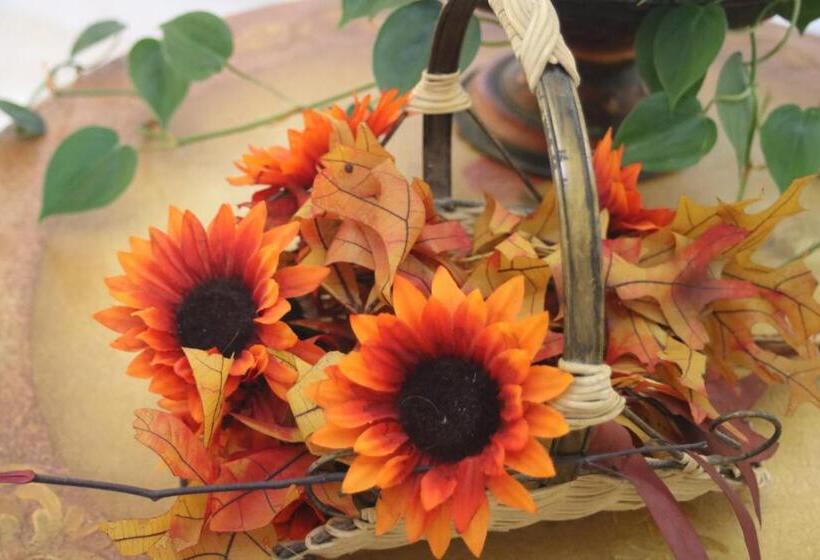 민박 Casa Shaddai~