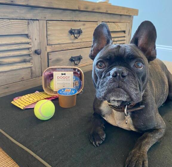 호텔 The Whittling House