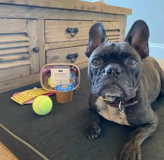 Hotelli The Whittling House