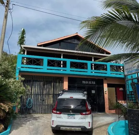 Uverito Sand Dollar B&b