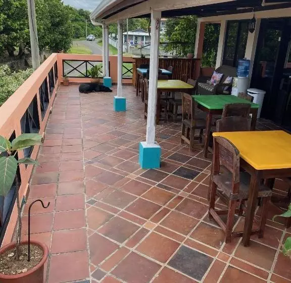 Uverito Sand Dollar B&b